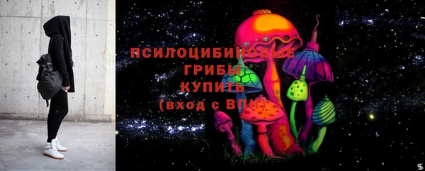 трава Балахна