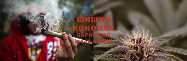 прущие крисы Баксан