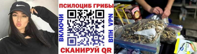 Галлюциногенные грибы Psilocybe Оренбург
