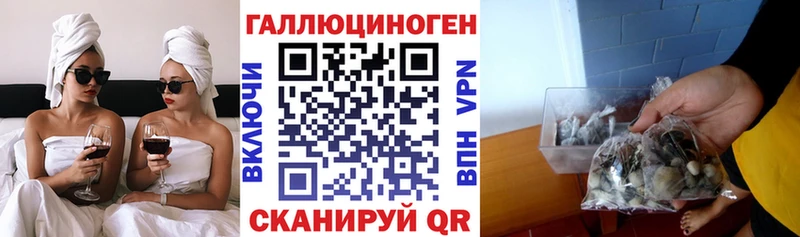 купить  сайты  ОМГ ОМГ маркетплейс  Псилоцибиновые грибы мицелий  Оренбург 