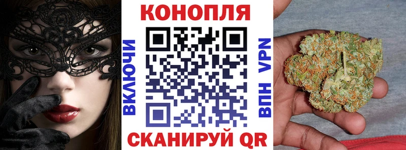 Конопля планчик  Оренбург 